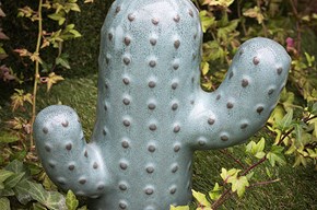 Cactus Deroma